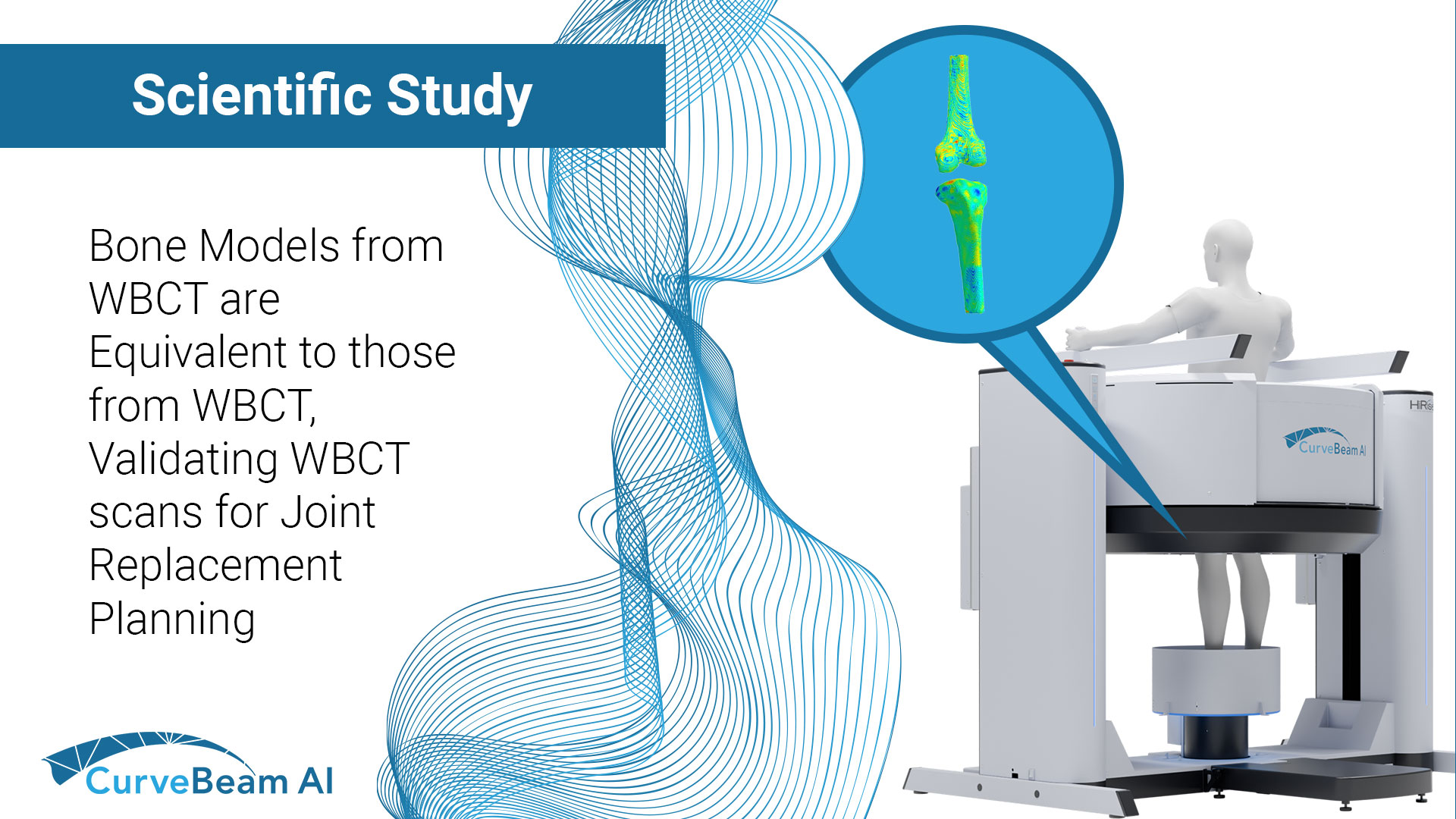 3DBoneModelWBCTPreview